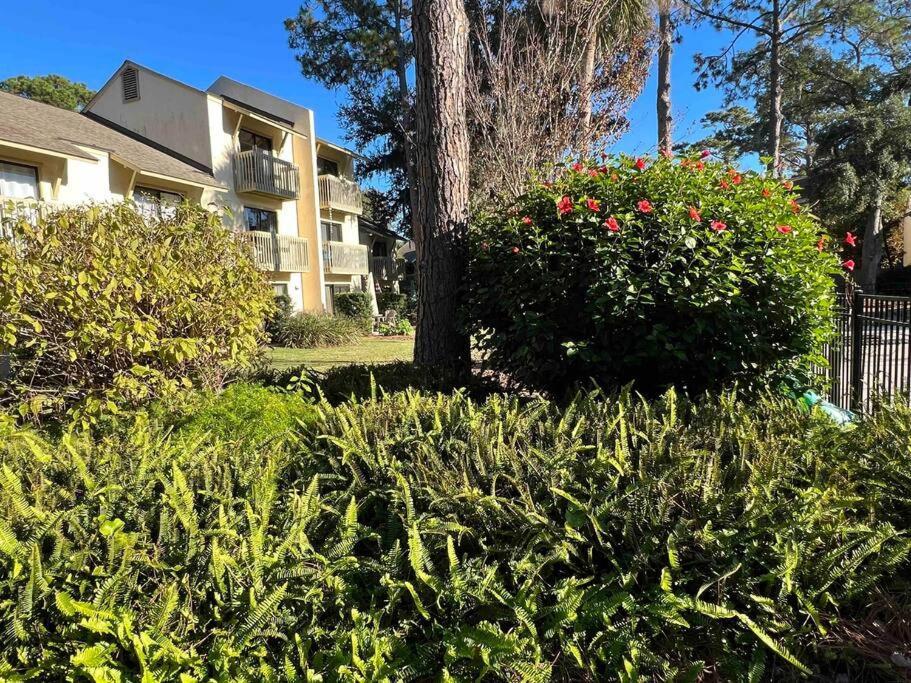 Spacious, Cozy Villa W/Parking In Coligny Villas Hilton Head Island Kültér fotó