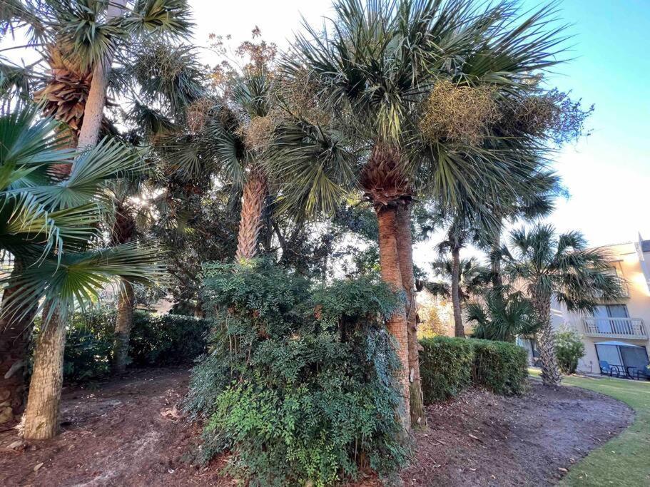 Spacious, Cozy Villa W/Parking In Coligny Villas Hilton Head Island Kültér fotó